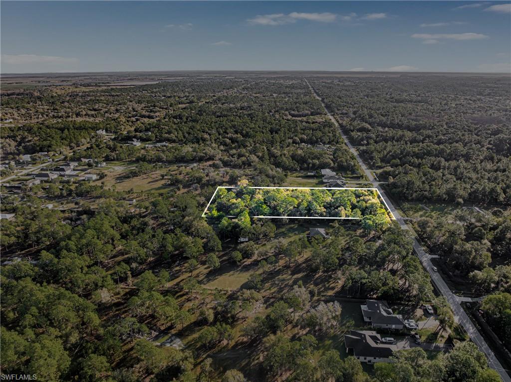 Aerial view of property's location with a forest and property boundaries highlighted