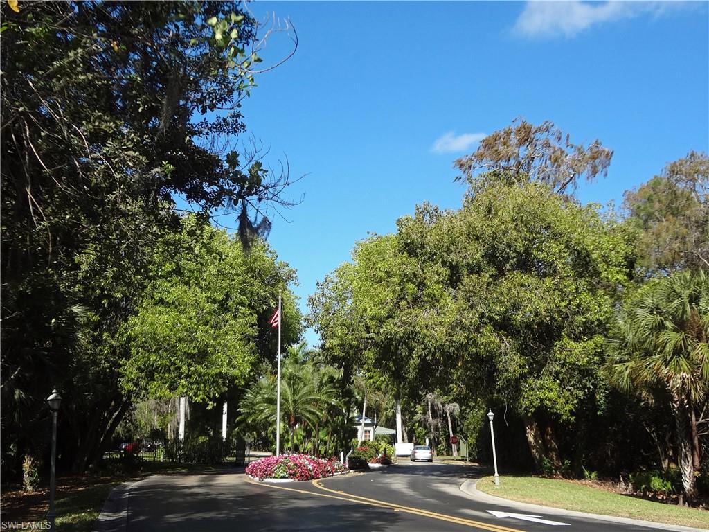 View of asphalt street with street lights and curbs
