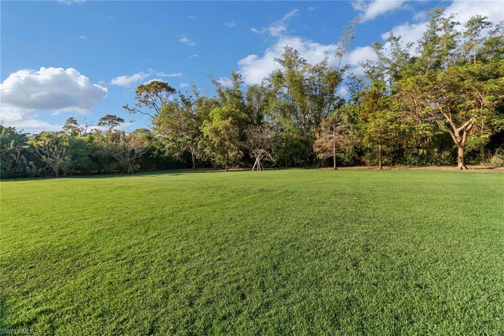 65 Mahogany DR photo 33