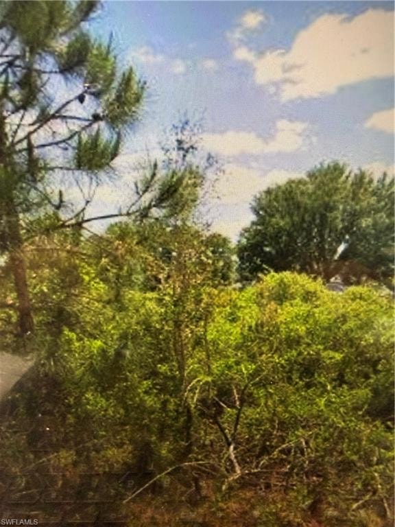 View of wooded area