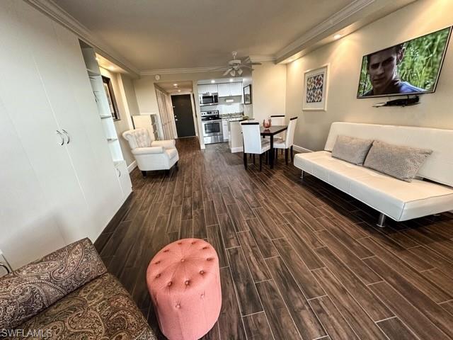 Shows Murphy Bed