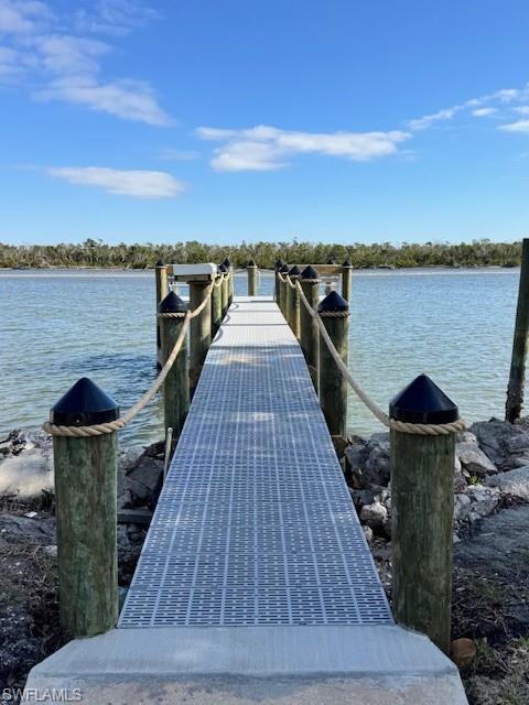 New Community Dock area featuring a water view