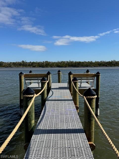 New Community dock featuring a water view