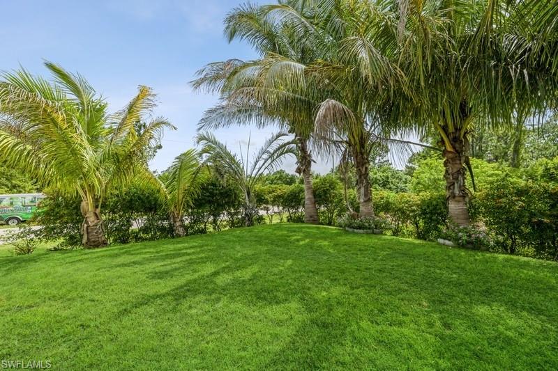 View of green lawn