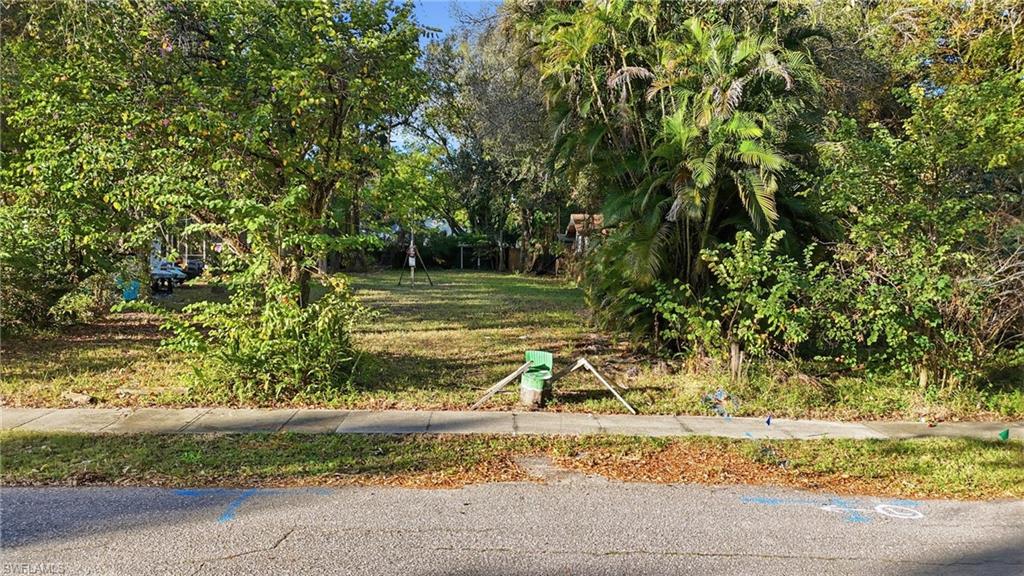 View of yard with view of scattered trees