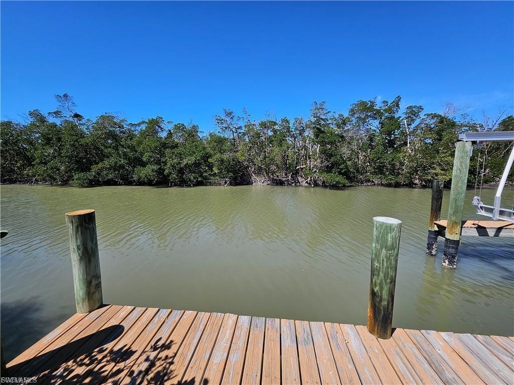 Dock with a water view