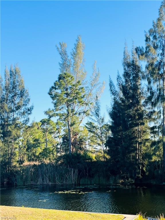 Water view