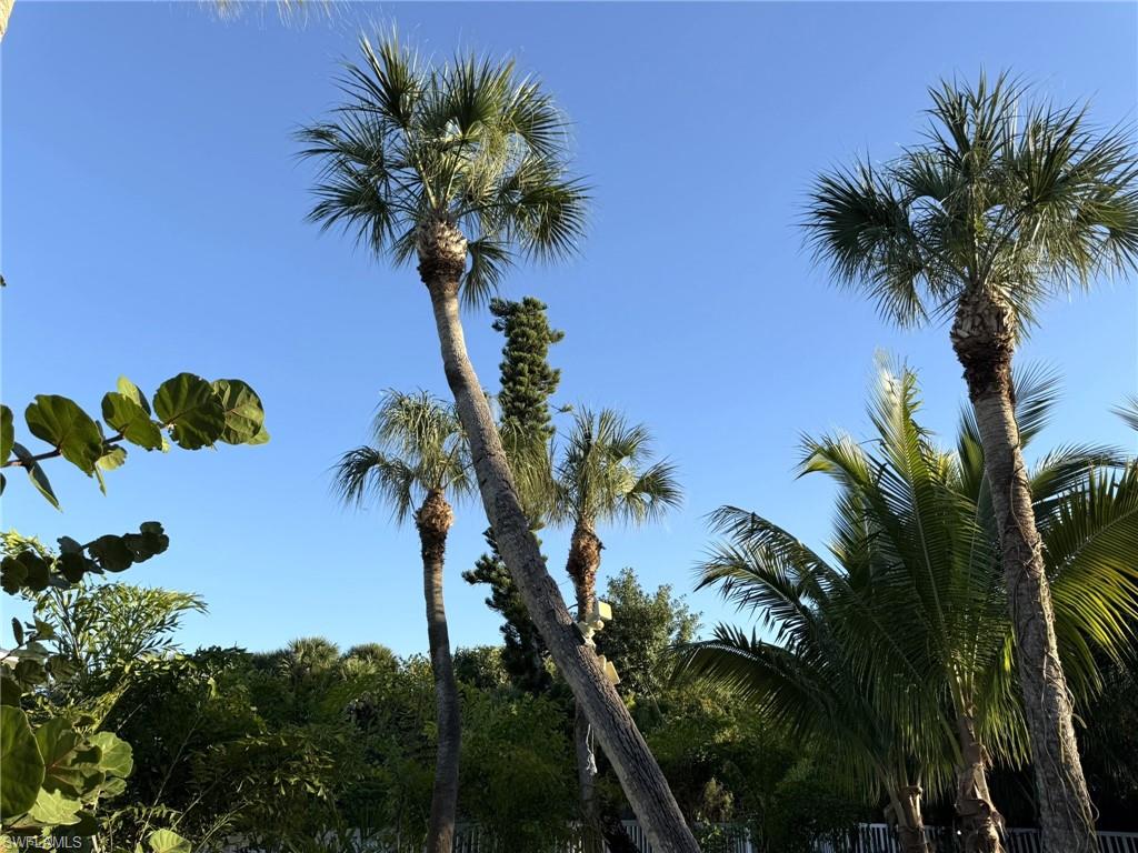 Front Corner Yard