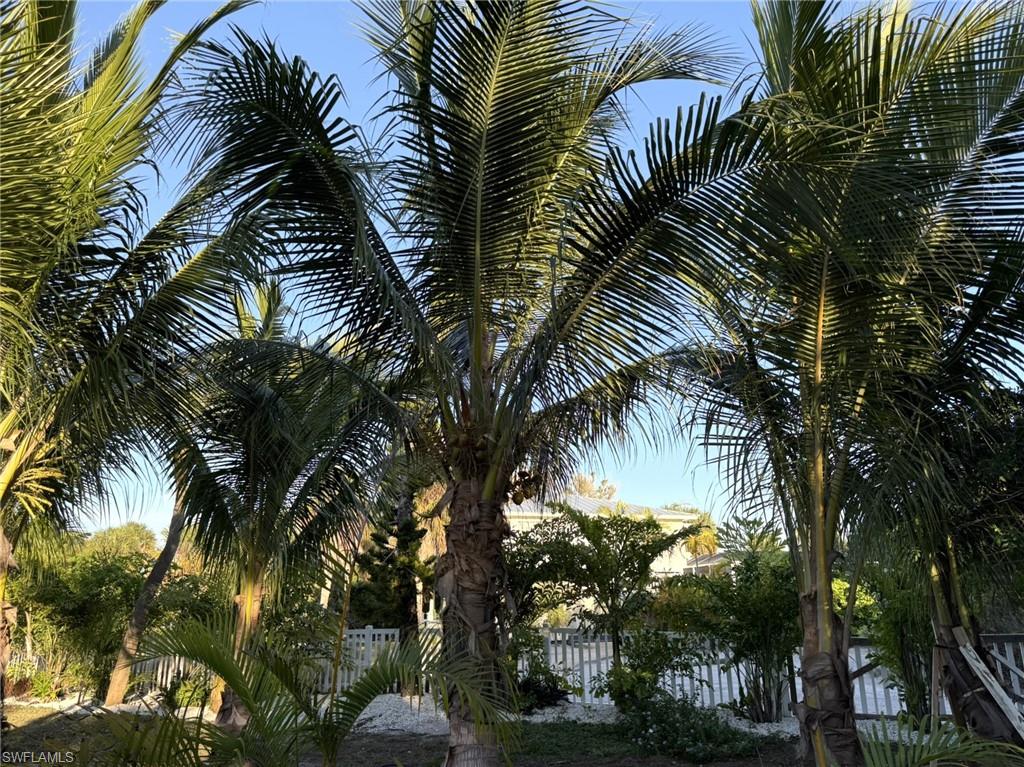Front Yard Close Up View