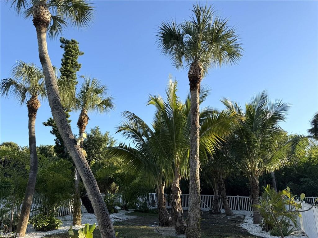 Front Corner Yard
