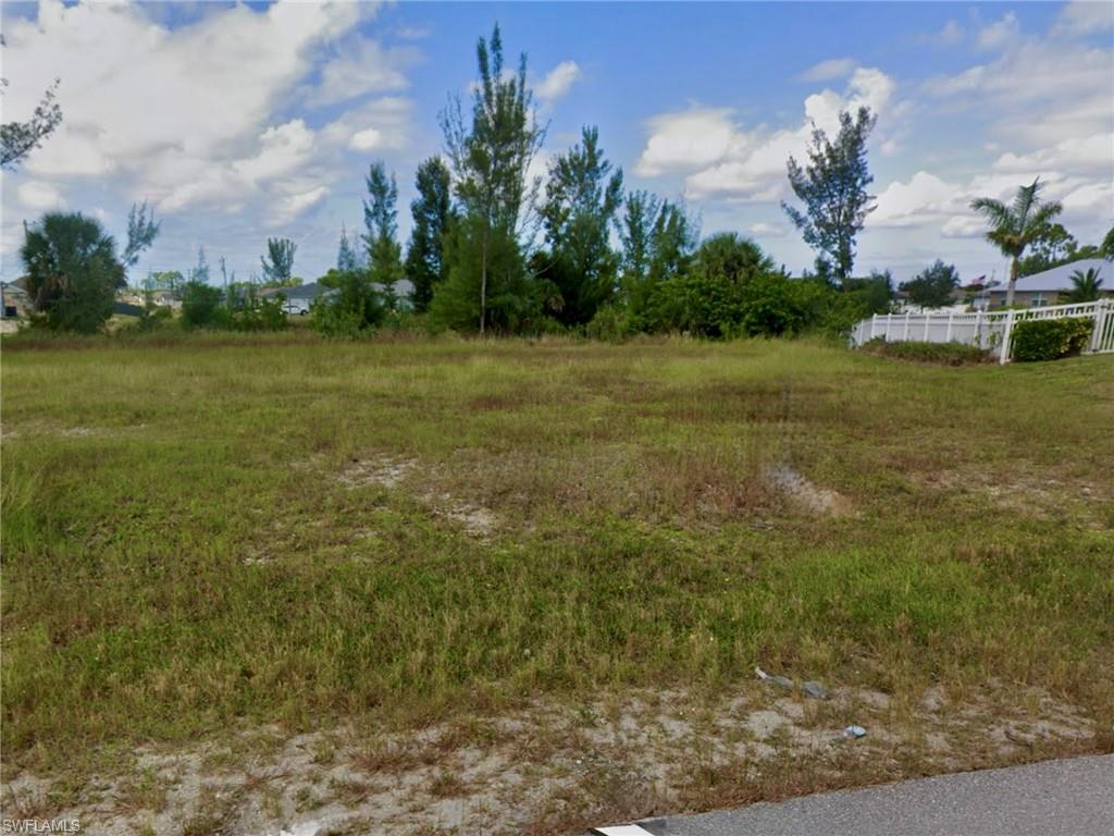 Street view of yard