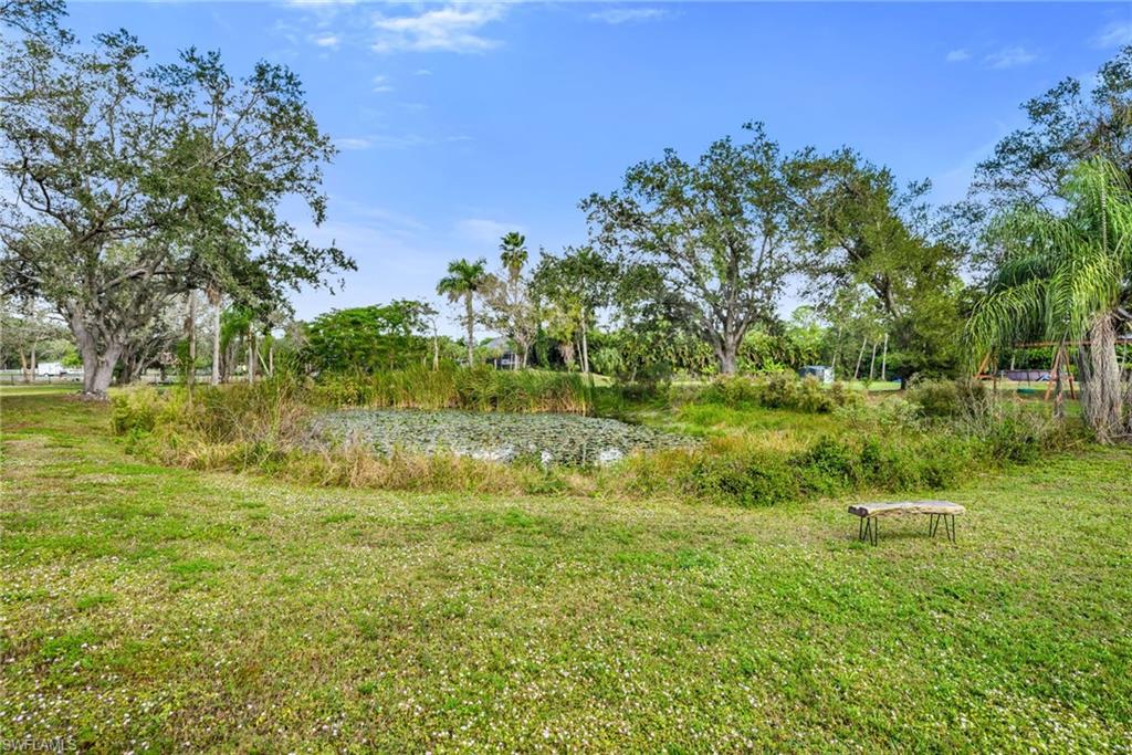 Backyard Pond
