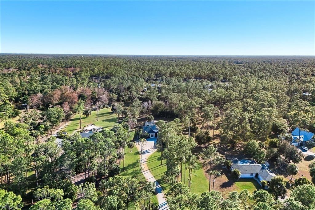 Drone / aerial view of a forest