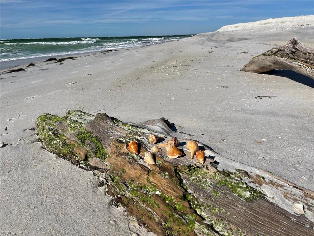 Beach Duplex is on World Class Fishing and Shelling...