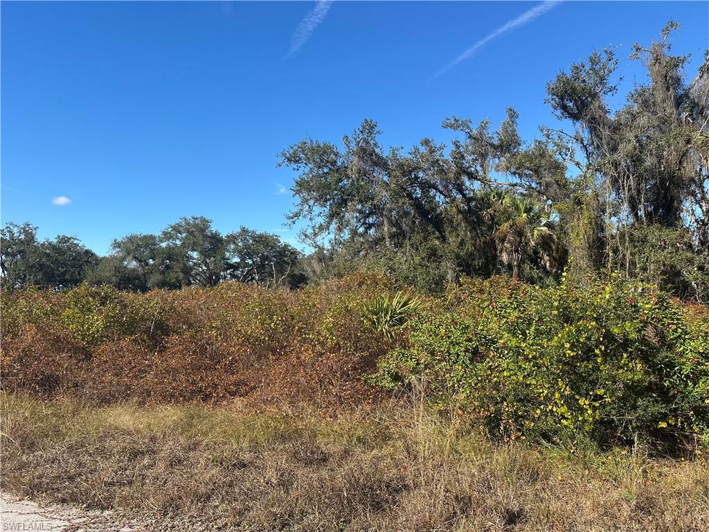 View of undeveloped land