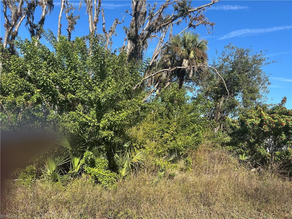 View of undeveloped land