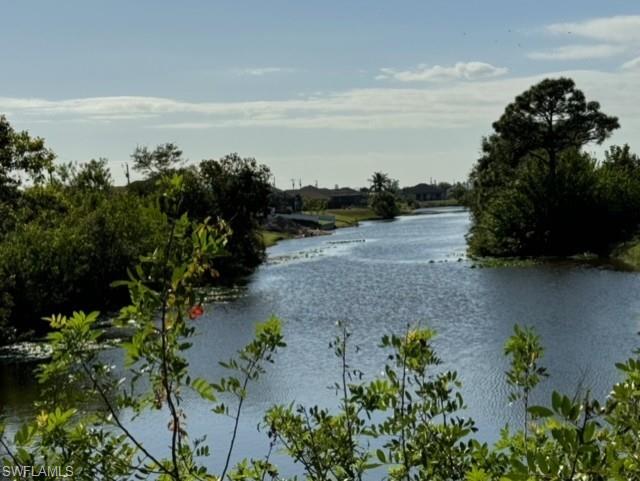 Your backyard view of the intersecting canal
