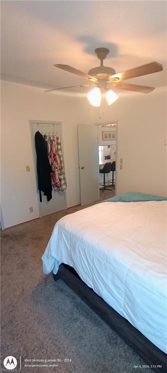 Bedroom featuring carpet floors, ceiling fan, and a closet