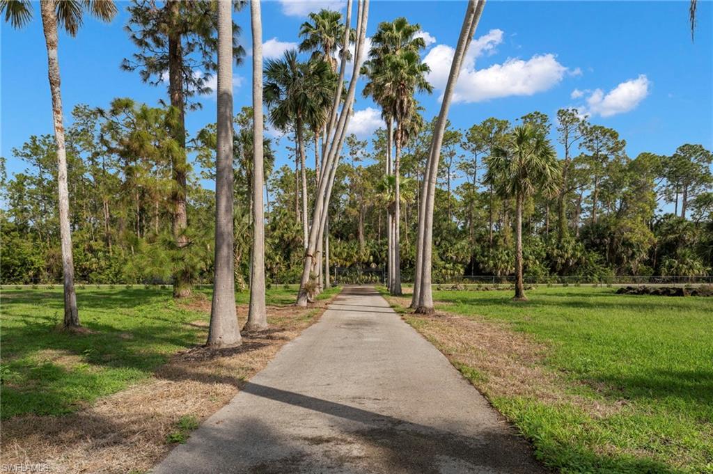 Gate/Driveway