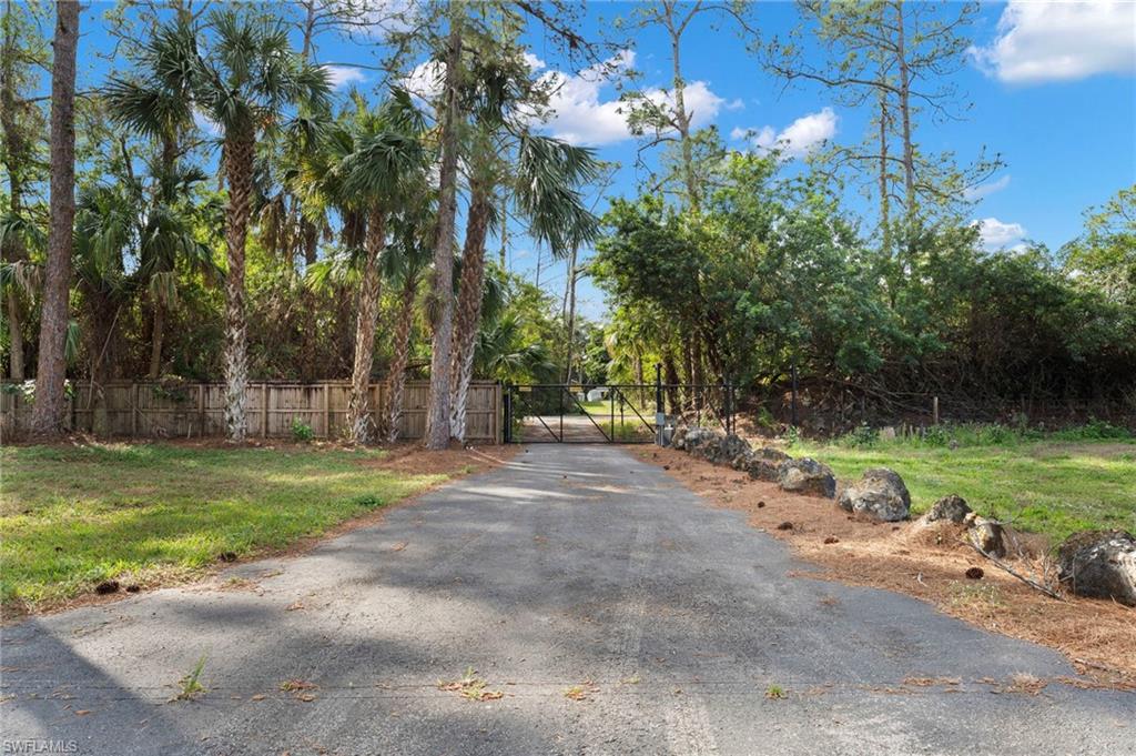 Gate/Driveway