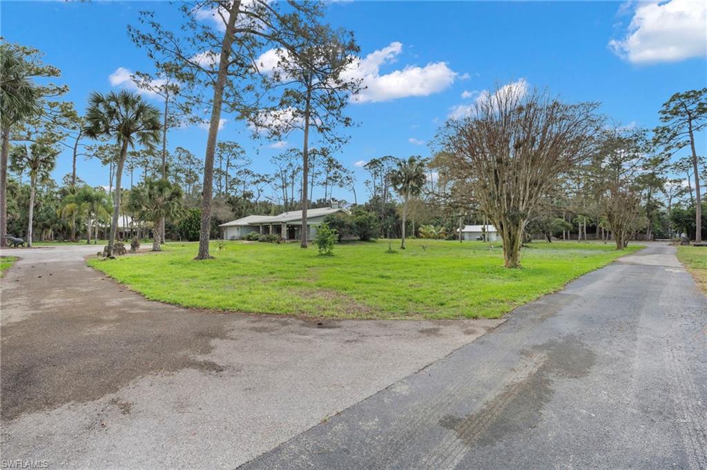 Driveway