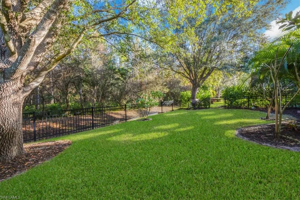 actual fenced yard