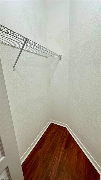 Walk in closet with dark wood-type flooring
