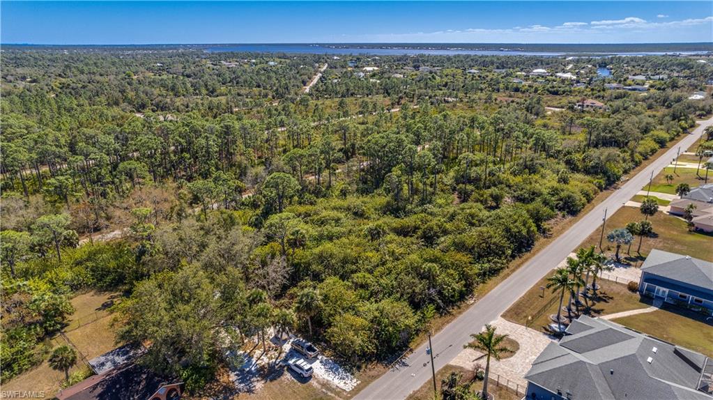 Drone / aerial view of a forest