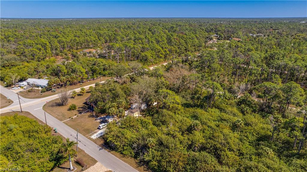 Bird's eye view of a heavily wooded area