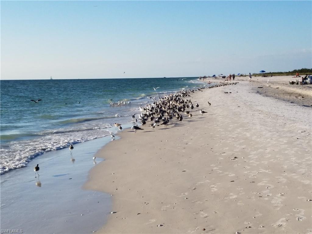 Beautiful Marco beach