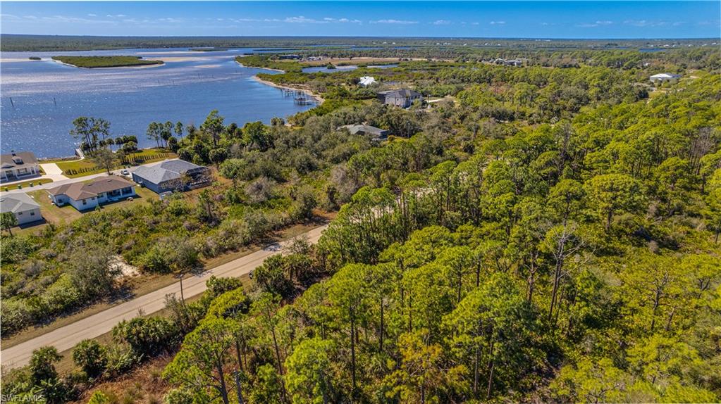 Aerial view of a forest and a nearby body of water