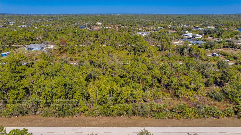 Aerial view of a forest