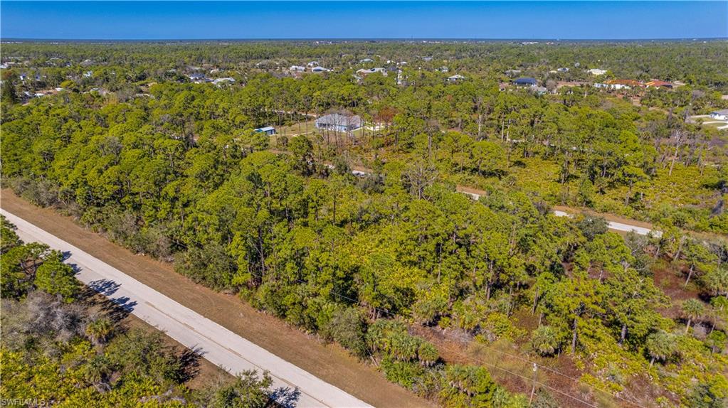 Drone / aerial view of a heavily wooded area