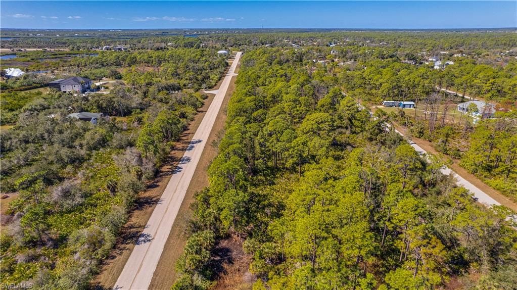 Drone / aerial view of a forest