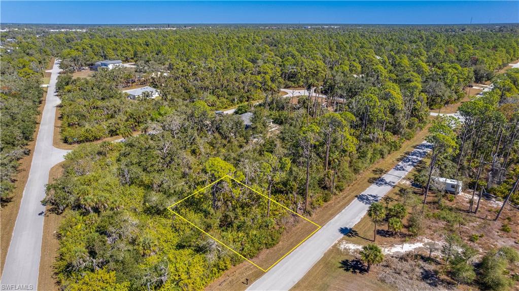 Drone / aerial view of a heavily wooded area