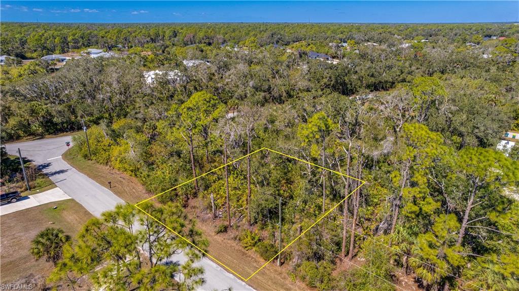 Aerial view of a heavily wooded area