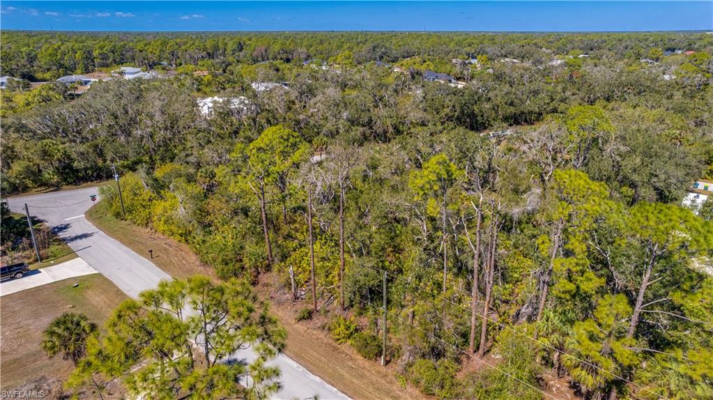 Aerial view of a heavily wooded area