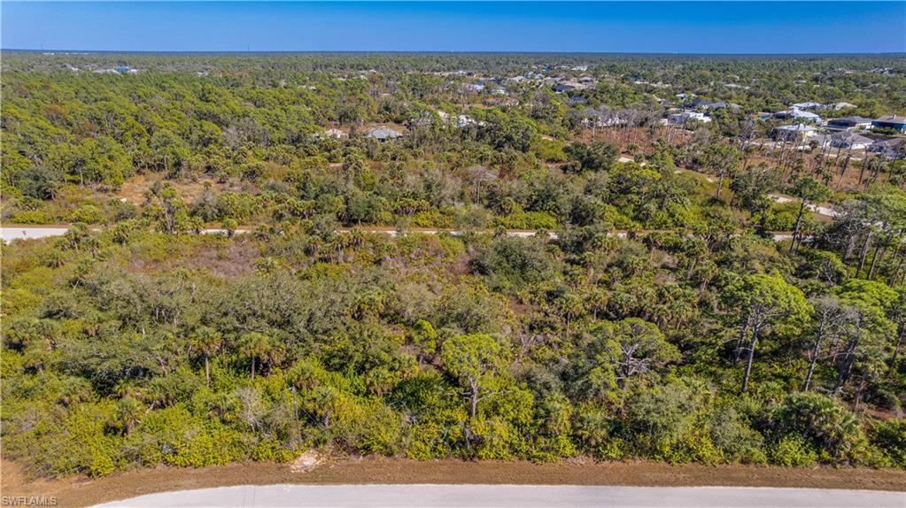Drone / aerial view of a heavily wooded area