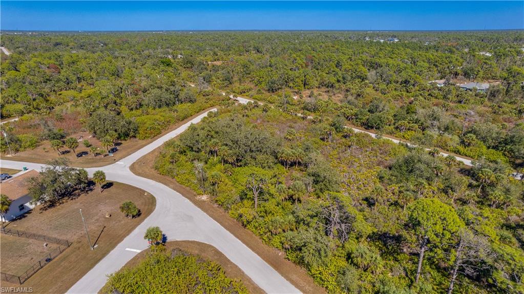Aerial view of a heavily wooded area