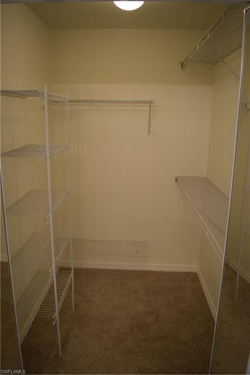 Walk in closet featuring dark carpet