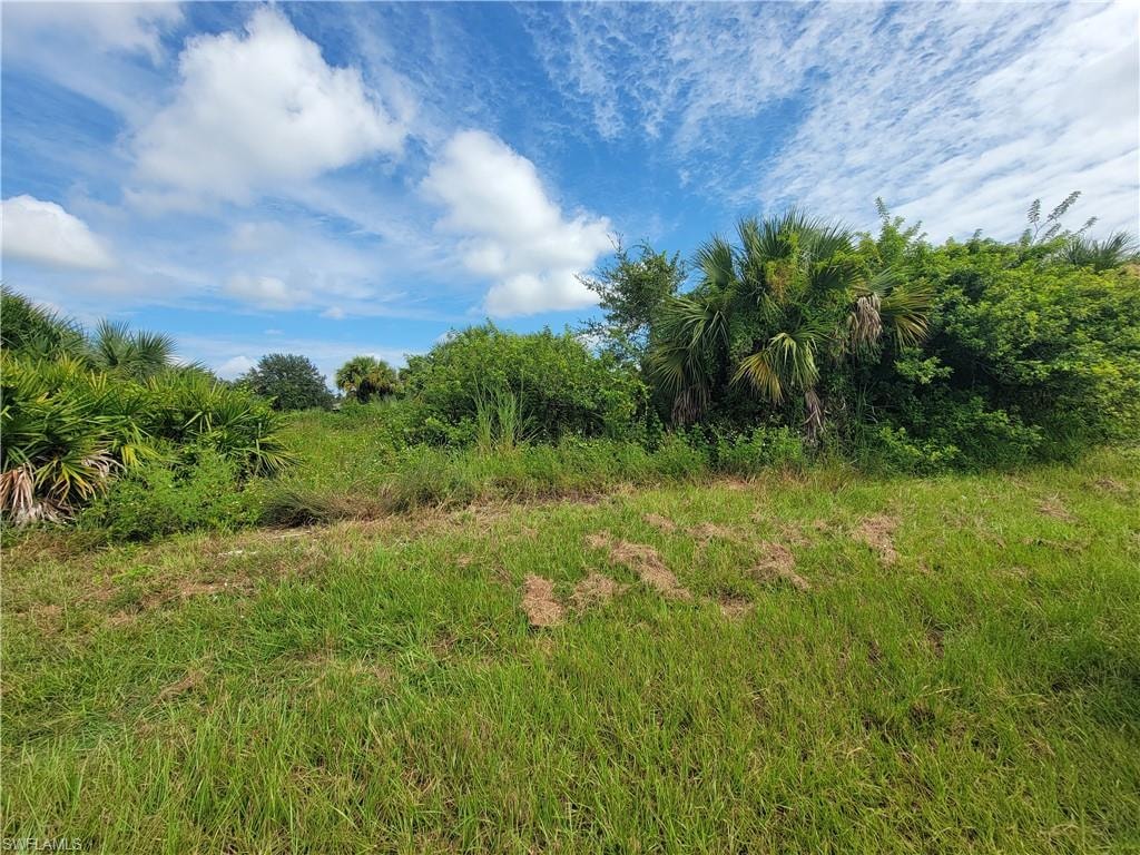 View of undeveloped land