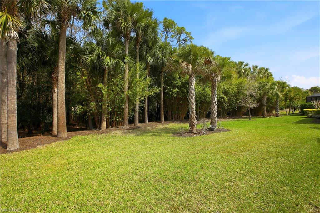11216 Carlingford RD photo 38