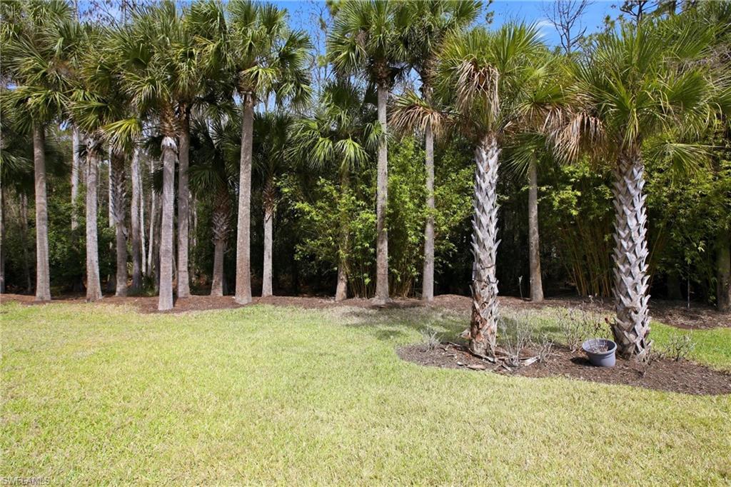 11216 Carlingford RD photo 37