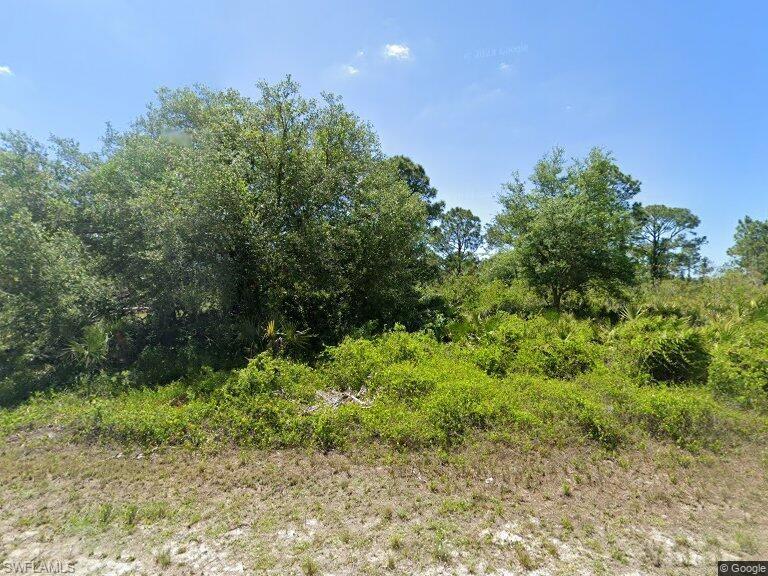 View of undeveloped land