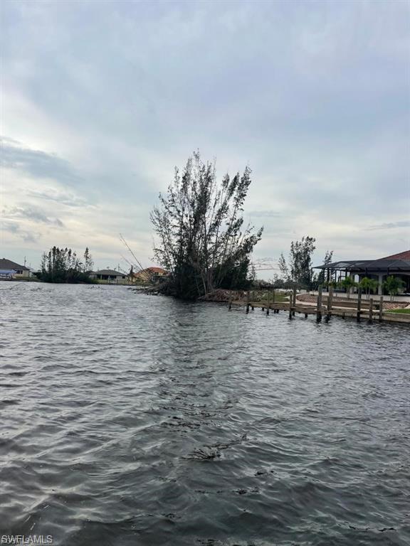 Water view with a boat dock