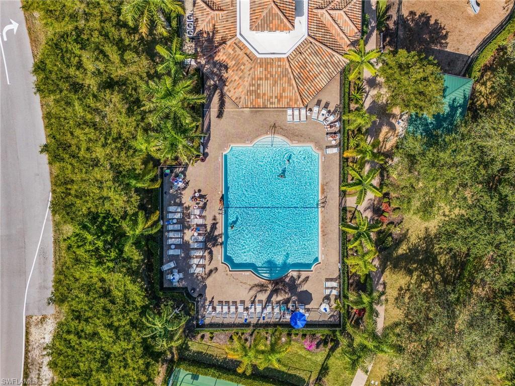 Bird's eye view of a pool