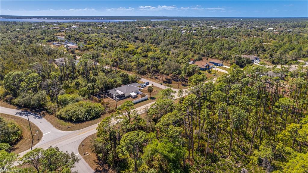Bird's eye view of a heavily wooded area