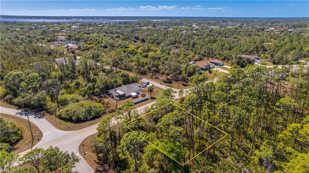 Bird's eye view of a heavily wooded area