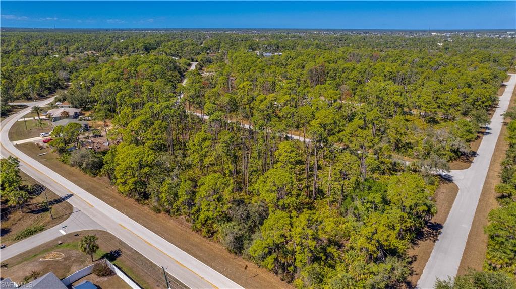 Drone / aerial view of a heavily wooded area