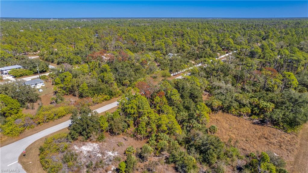 Drone / aerial view of a heavily wooded area